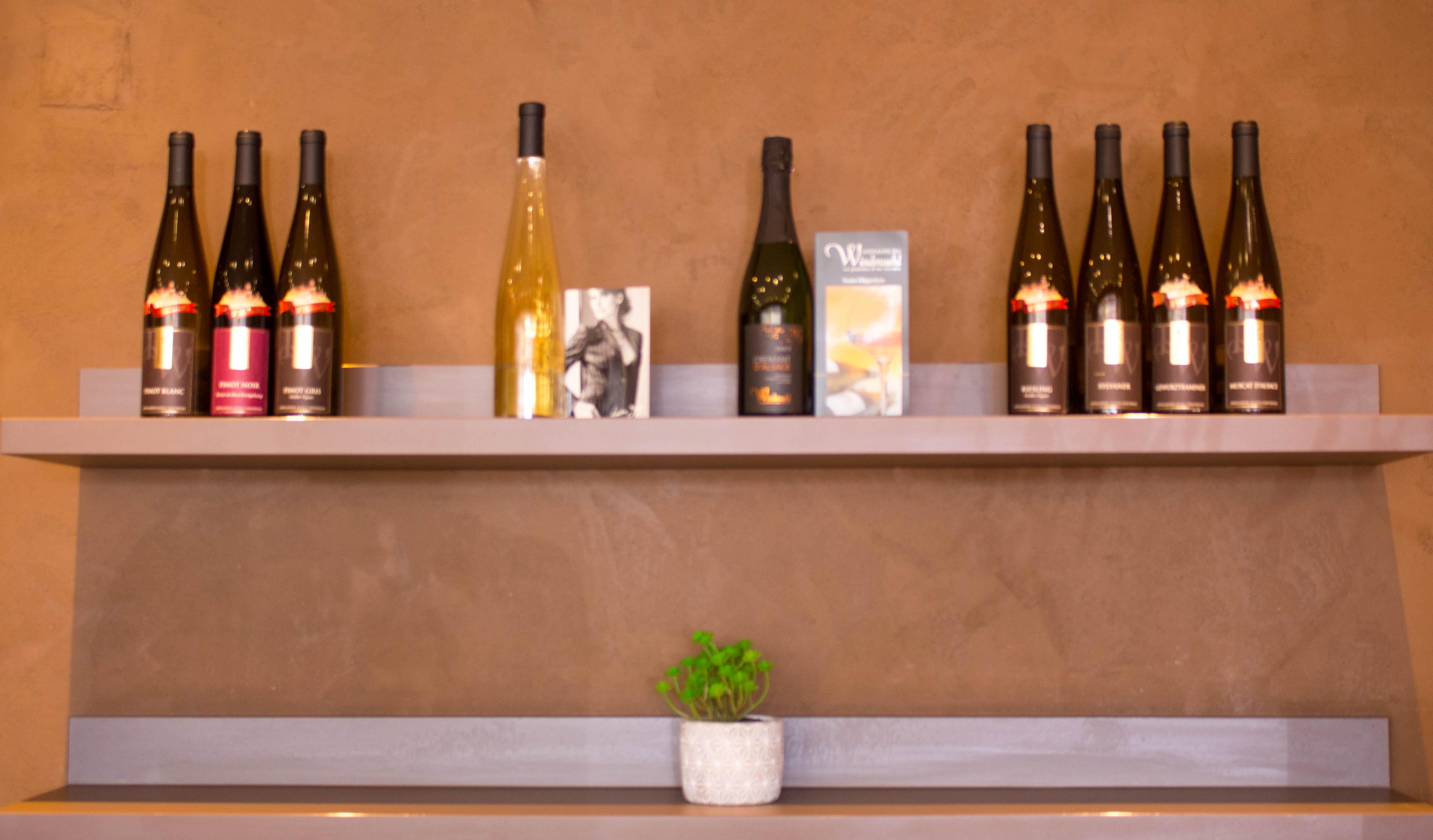 Horbourg-Wihr Ibis Colmar Est - Hotel Restaurant En Alsace מראה חיצוני תמונה