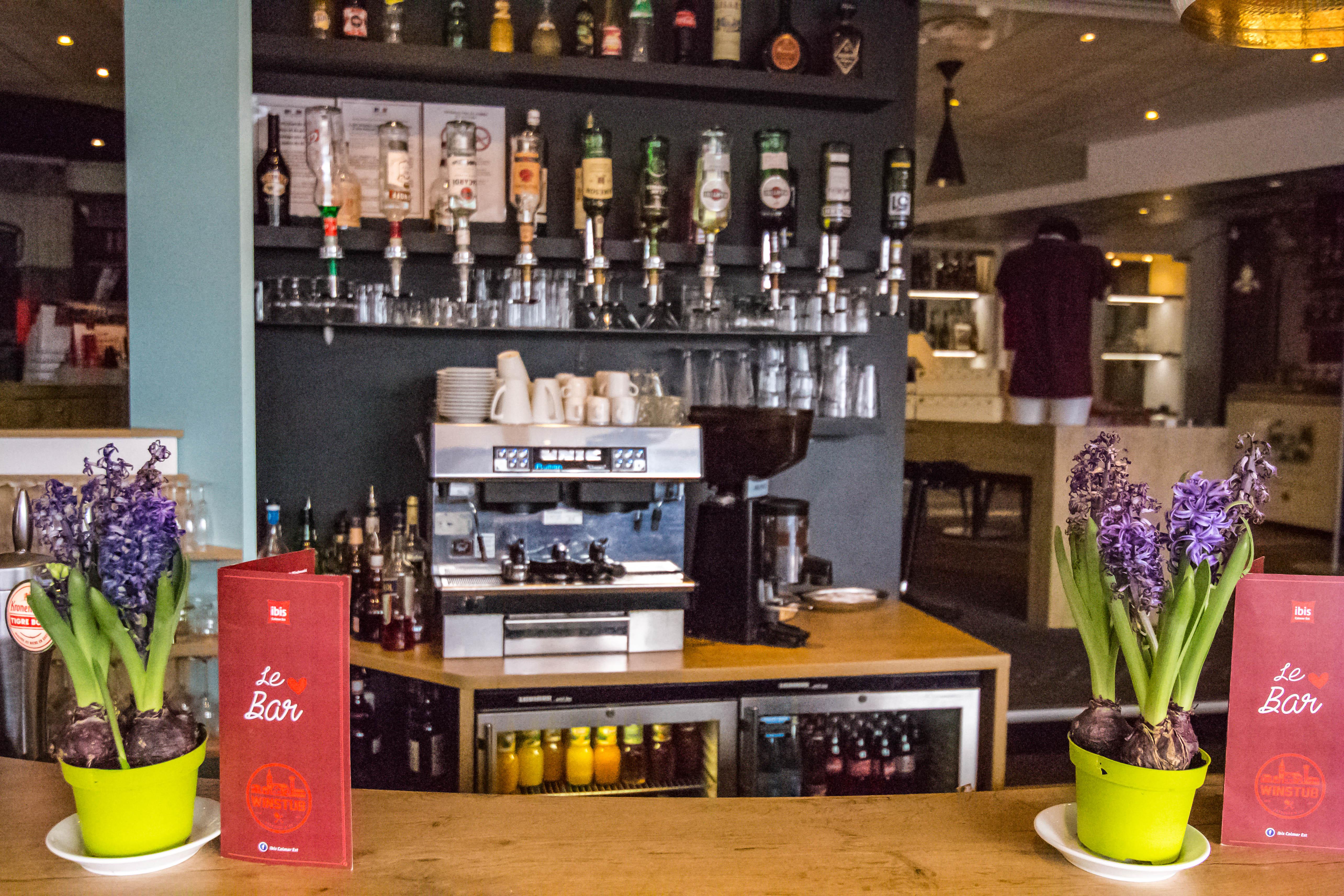 Horbourg-Wihr Ibis Colmar Est - Hotel Restaurant En Alsace מראה חיצוני תמונה