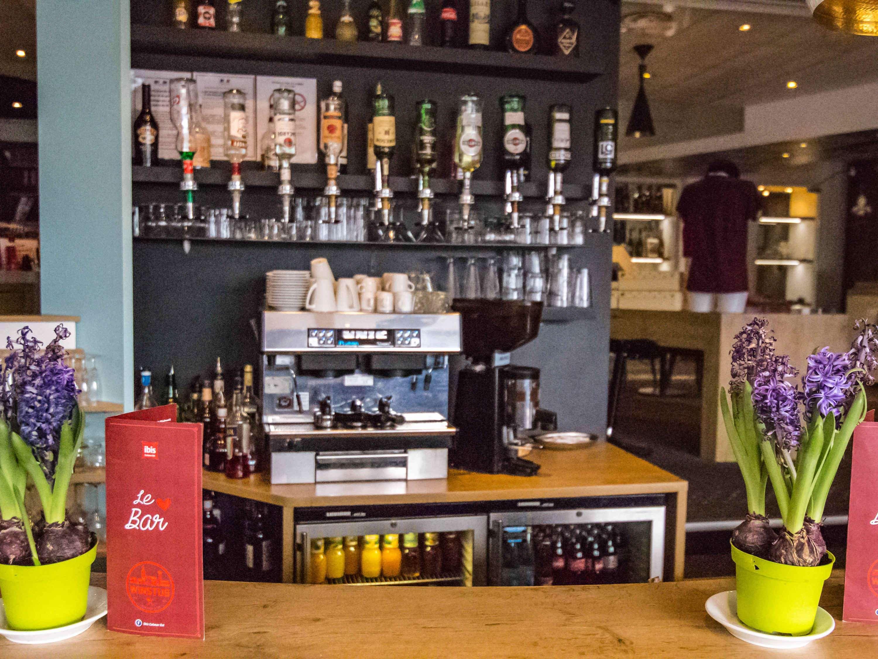 Horbourg-Wihr Ibis Colmar Est - Hotel Restaurant En Alsace מראה חיצוני תמונה